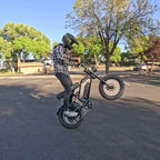 Limascent Ultribike TALON-1