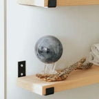 Moon MOOVA Globe